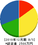 仲村産業 貸借対照表 2010年12月期