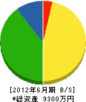 神沢建設 貸借対照表 2012年6月期