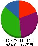 千葉鑿井管工事 貸借対照表 2010年6月期