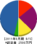 矢野庭園 貸借対照表 2011年6月期