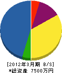 涌井工業 貸借対照表 2012年3月期