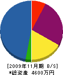 田口設備 貸借対照表 2009年11月期