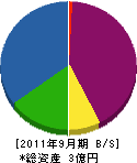 成井土建 貸借対照表 2011年9月期