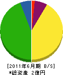 森田造園土木 貸借対照表 2011年6月期