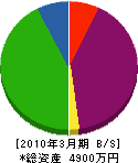 泉澤鉄工所 貸借対照表 2010年3月期