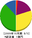 宮崎興業 貸借対照表 2009年10月期