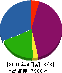 静岡田園 貸借対照表 2010年4月期