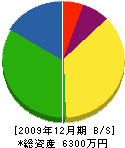 米島商会 貸借対照表 2009年12月期