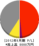 内田電気工事 損益計算書 2012年6月期