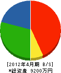 平野電気 貸借対照表 2012年4月期