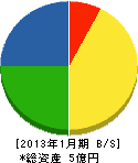 大阪川島商店 貸借対照表 2013年1月期