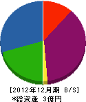 松田金物店 貸借対照表 2012年12月期