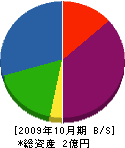 八須賀 貸借対照表 2009年10月期