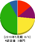 富士野建設 貸借対照表 2010年5月期