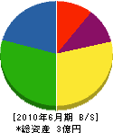 松田建設 貸借対照表 2010年6月期