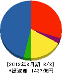 佐藤工業 貸借対照表 2012年6月期