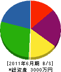 伸晃建設 貸借対照表 2011年6月期