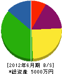 渋谷建設 貸借対照表 2012年6月期