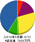 田坂冷暖房 貸借対照表 2010年9月期