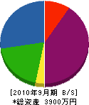 松井電設 貸借対照表 2010年9月期