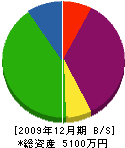 石田建設 貸借対照表 2009年12月期