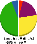 佐々木産業 貸借対照表 2009年12月期