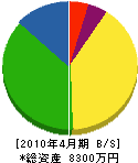 小柳津電機 貸借対照表 2010年4月期