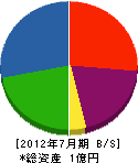 小坂田建設 貸借対照表 2012年7月期