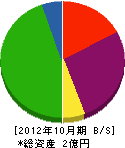 山崎建設 貸借対照表 2012年10月期