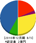 日栄建設 貸借対照表 2010年12月期