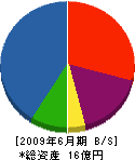 日本サイン 貸借対照表 2009年6月期