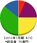 多摩川電気 貸借対照表 2012年1月期