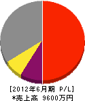 堀田電業社 損益計算書 2012年6月期
