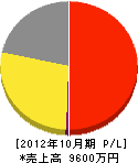 九州フォーテック 損益計算書 2012年10月期