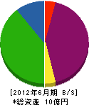 京葉緑化工事 貸借対照表 2012年6月期