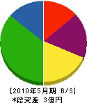 山野井組 貸借対照表 2010年5月期