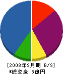 小野平工業 貸借対照表 2008年9月期