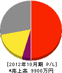 斉藤技研 損益計算書 2012年10月期