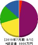 下田石材 貸借対照表 2010年7月期