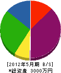 長澤造園 貸借対照表 2012年5月期