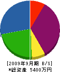 辻中組 貸借対照表 2009年9月期