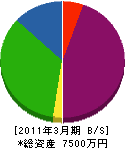 田口塗装店 貸借対照表 2011年3月期