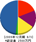 庄﨑工務店 貸借対照表 2009年12月期