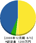 中川組 貸借対照表 2008年12月期
