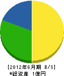 奥濱建設 貸借対照表 2012年6月期