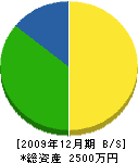 大塚造園 貸借対照表 2009年12月期