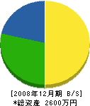 石坂元一 貸借対照表 2008年12月期