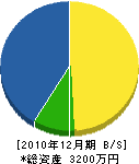 薗田電気 貸借対照表 2010年12月期