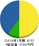 相之川工業 貸借対照表 2010年1月期