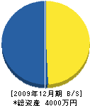 中川電気工業 貸借対照表 2009年12月期